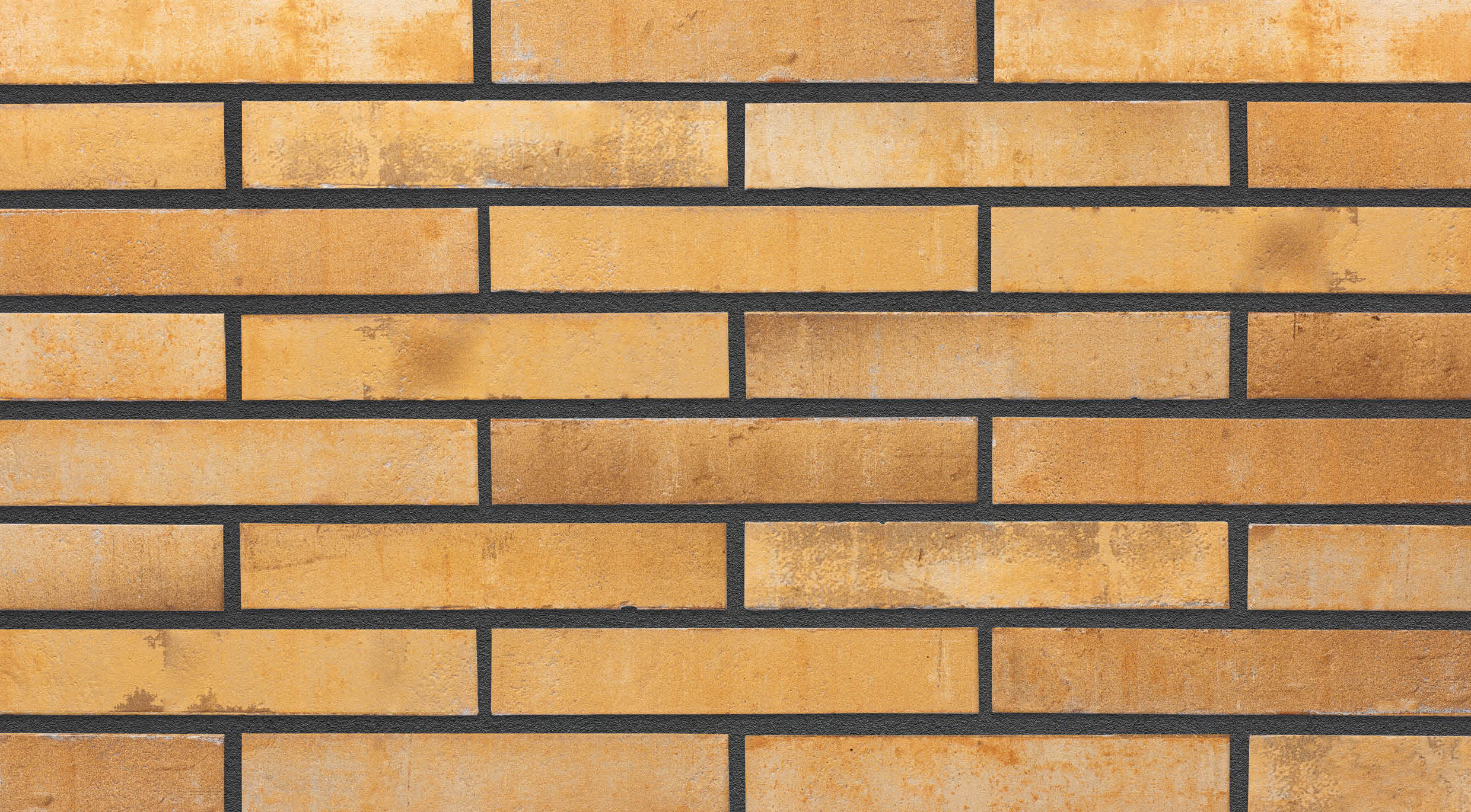 232905030375 Boston Cookie 5