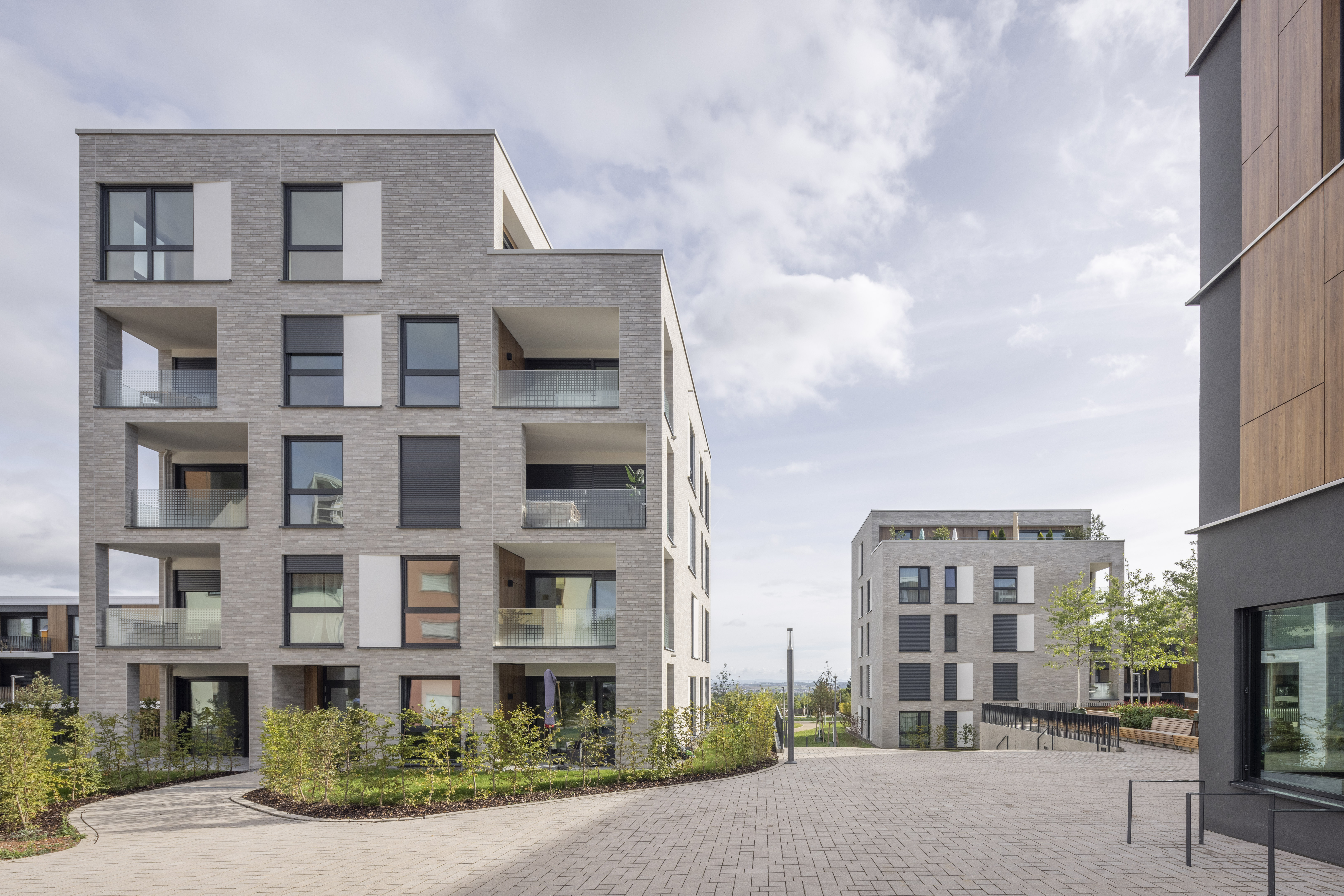 232905800033 Pandion Leon Leonberg DE BK Kansas 04