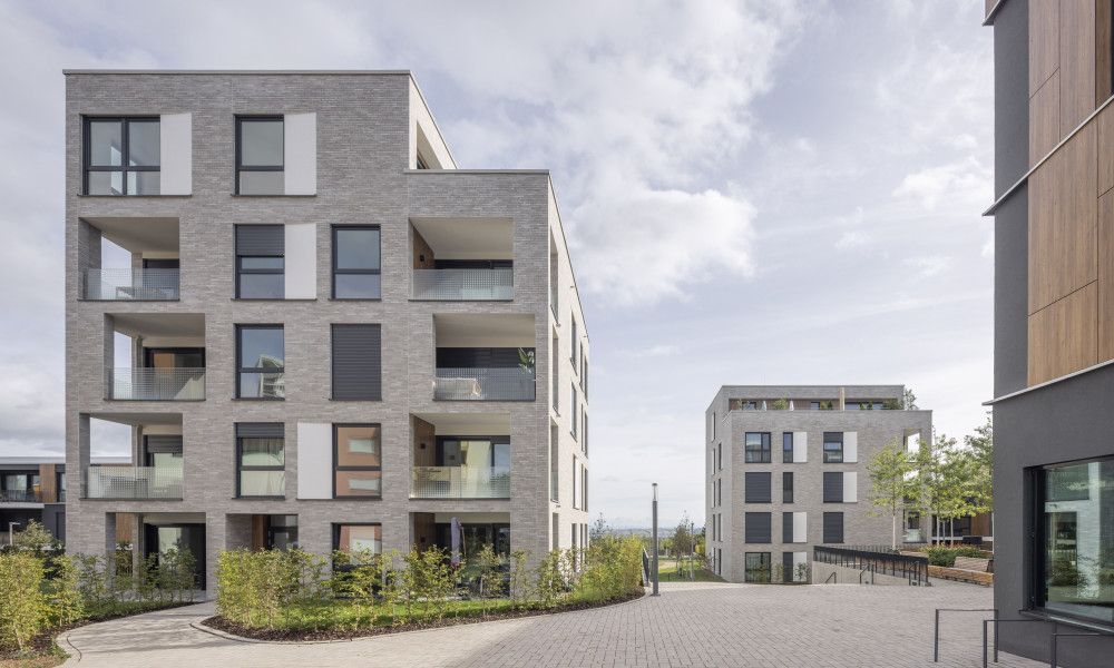 232905800033 Pandion Leon Leonberg DE BK Kansas 04