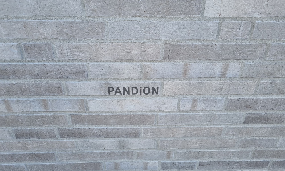 232905800033 Pandion Leon Leonberg DE BK Kansas 06