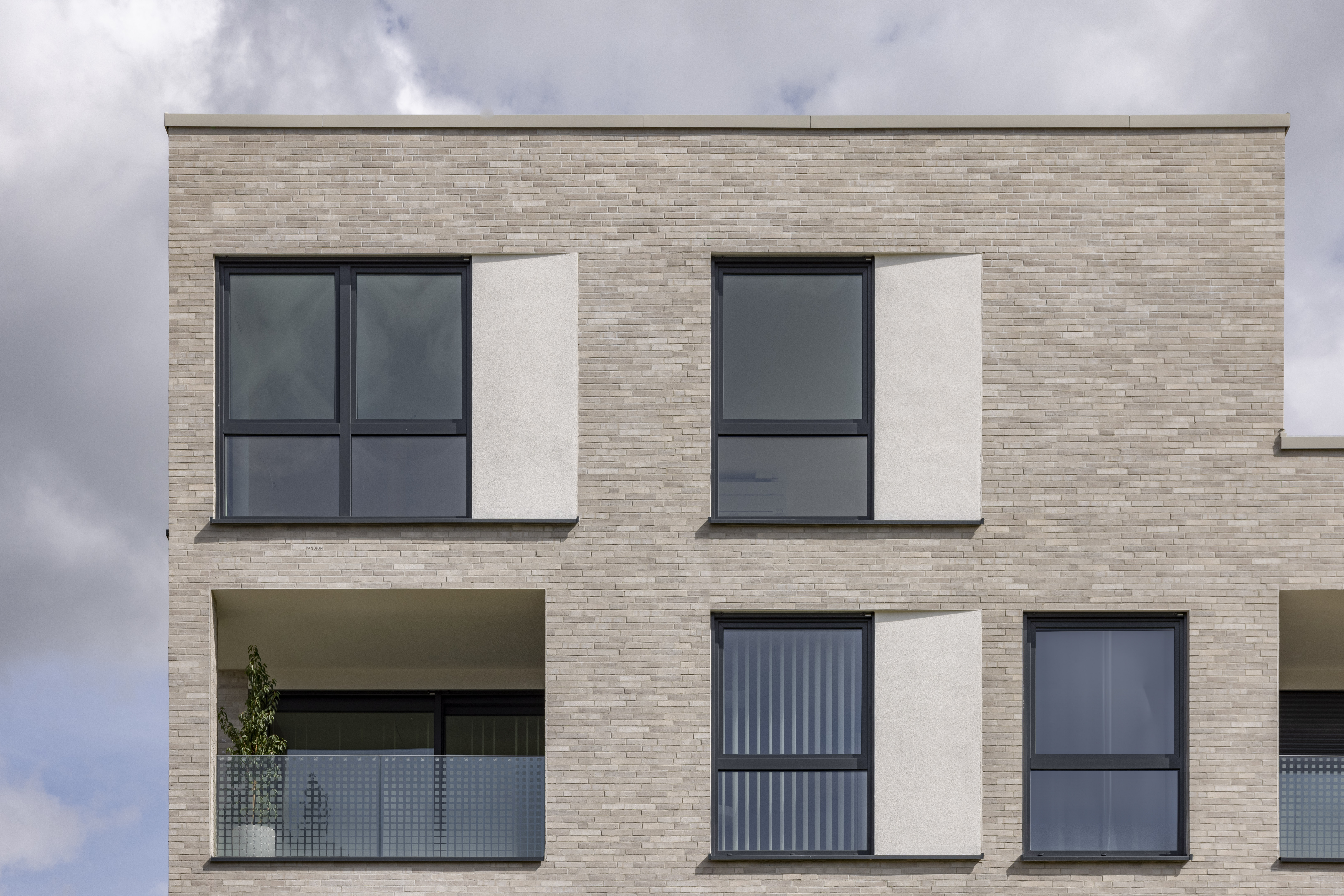 232905800033 Pandion Leon Leonberg DE BK Kansas 07