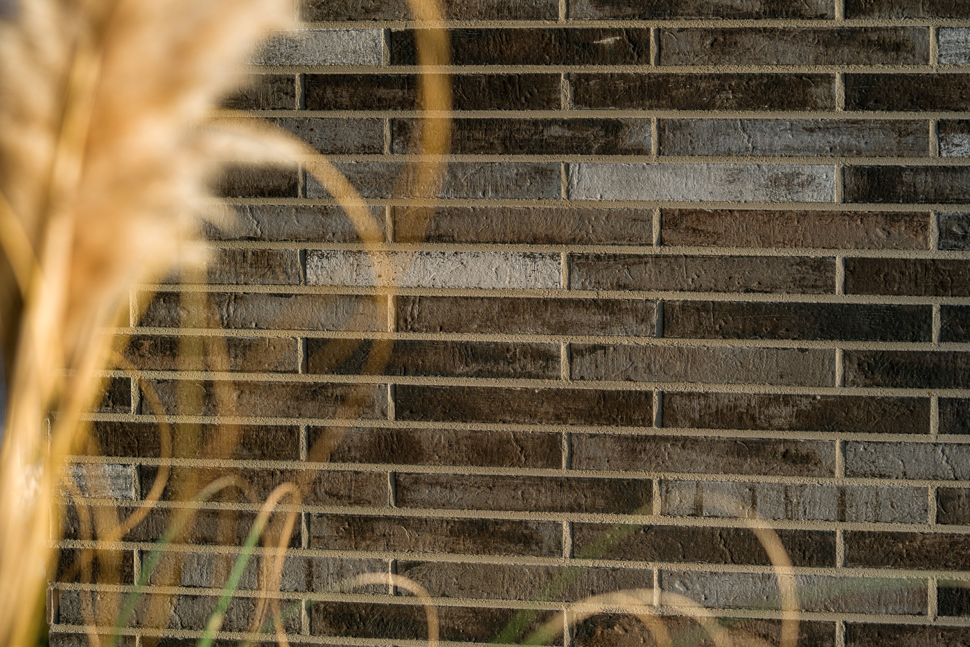 233605800006 Chorowice Krakau PL Palermo 10